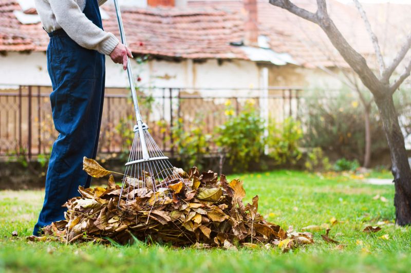 Leaves Raking Service