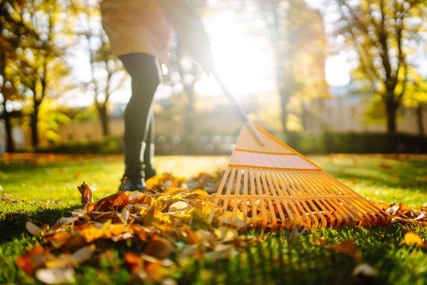 Grow your Leaves Raking business