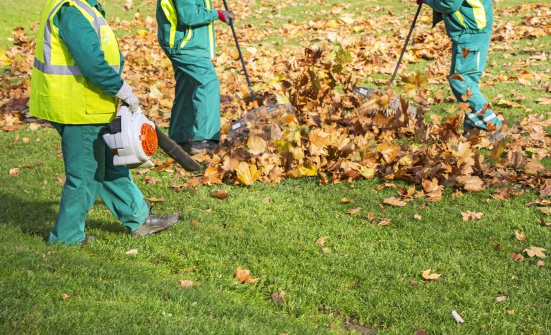 Leaves Raking