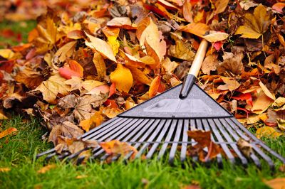 Fall Lawn Preparation Tools
