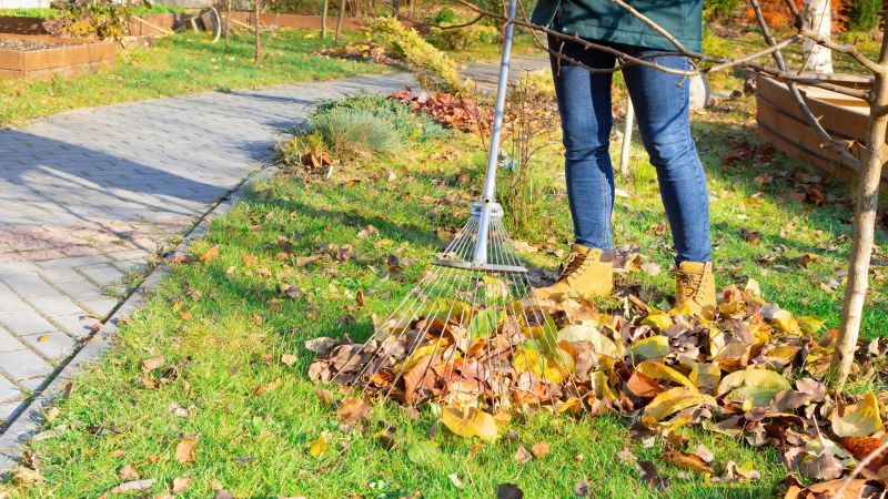 Leaves Raking