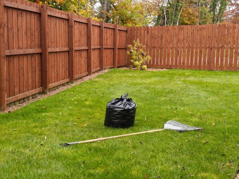 Clean Yard