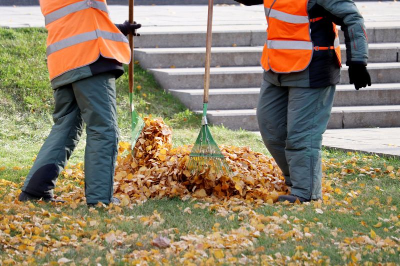 Leaf Raking Process