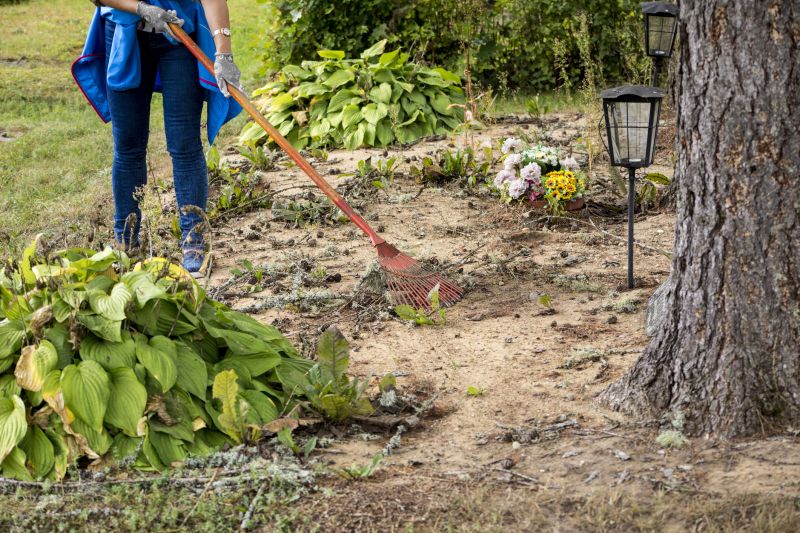Products For Leaves Rakings in use