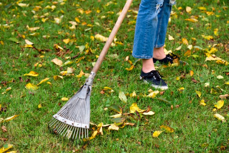 Who Does Leaves Rakings