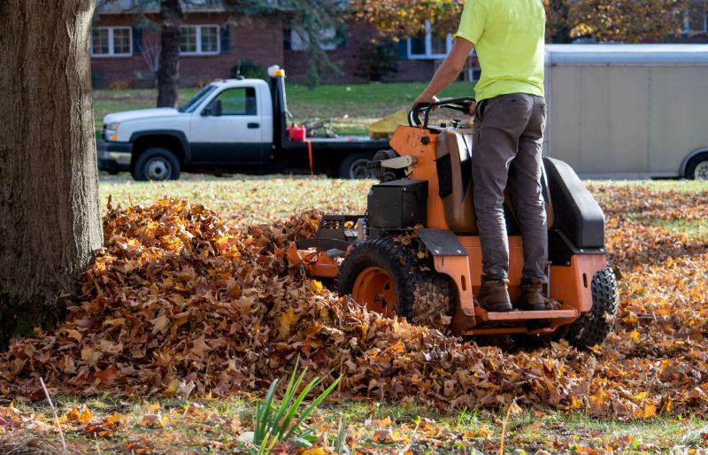 Why Fall And Spring Are The Best Times For Lawn Clean Up